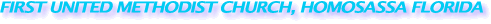 fumchs.gif (5232 bytes)